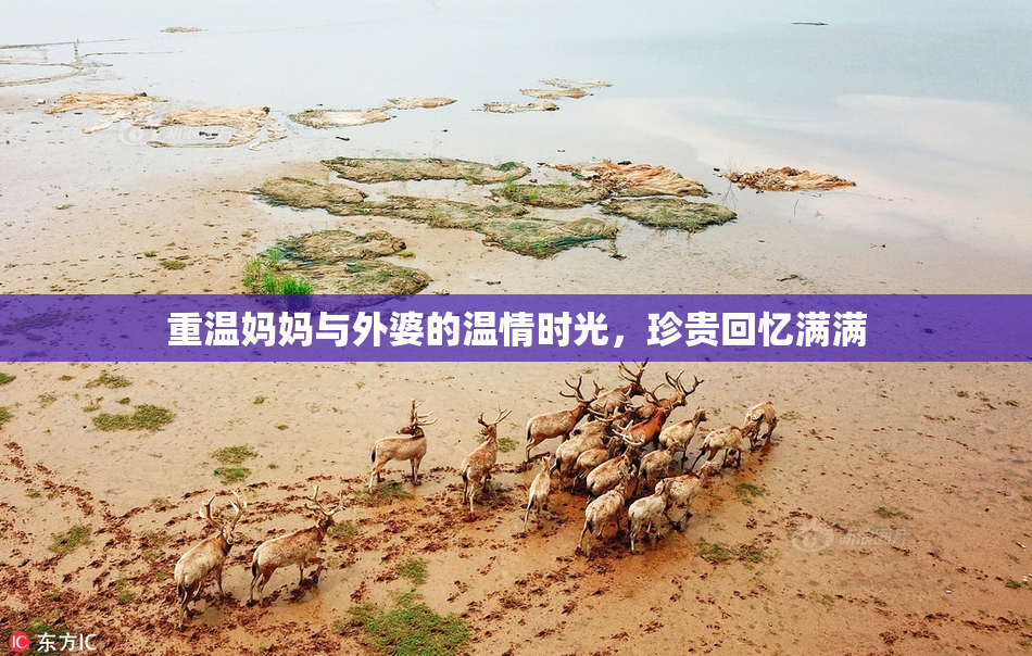 重温妈妈与外婆的温情时光，珍贵回忆满满