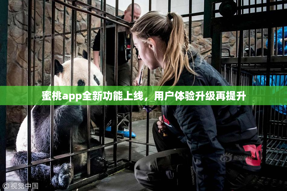 蜜桃app全新功能上线，用户体验升级再提升