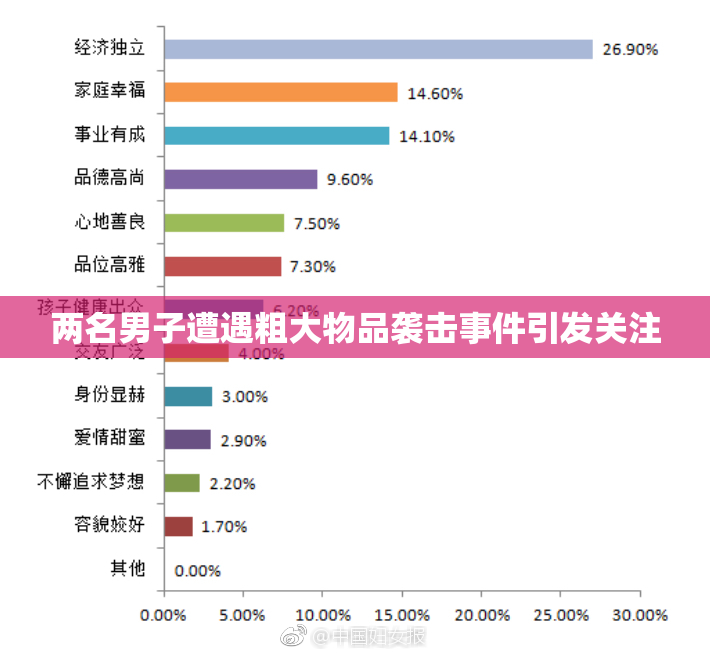 两名男子遭遇粗大物品袭击事件引发关注
