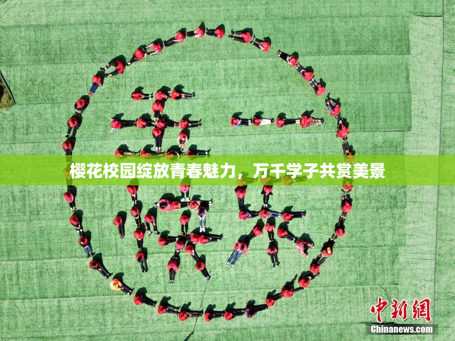 樱花校园绽放青春魅力，万千学子共赏美景