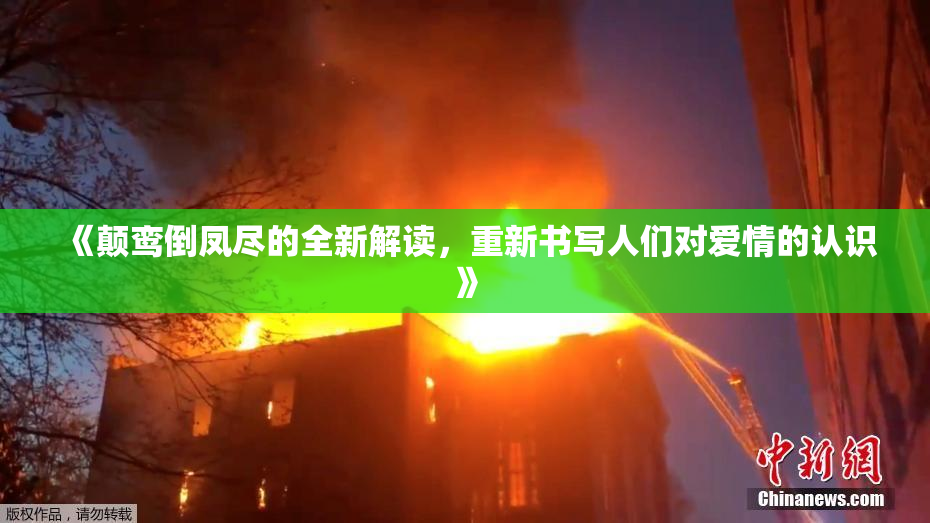 《颠鸾倒凤尽的全新解读，重新书写人们对爱情的认识》