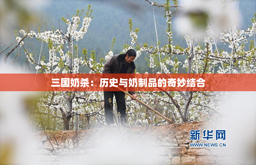 三国奶杀：历史与奶制品的奇妙结合