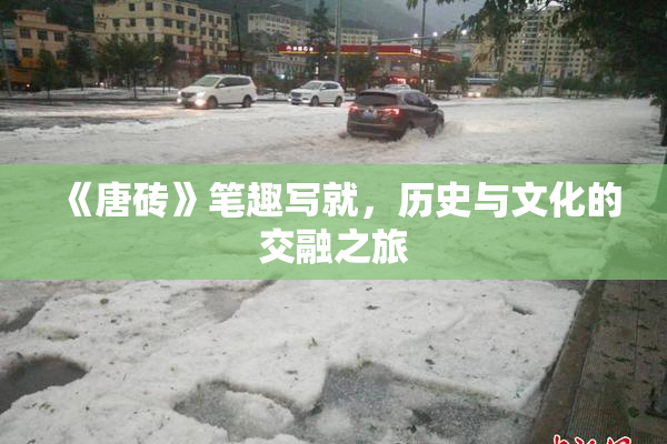 《唐砖》笔趣写就，历史与文化的交融之旅