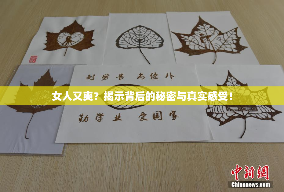 女人又爽？揭示背后的秘密与真实感受！