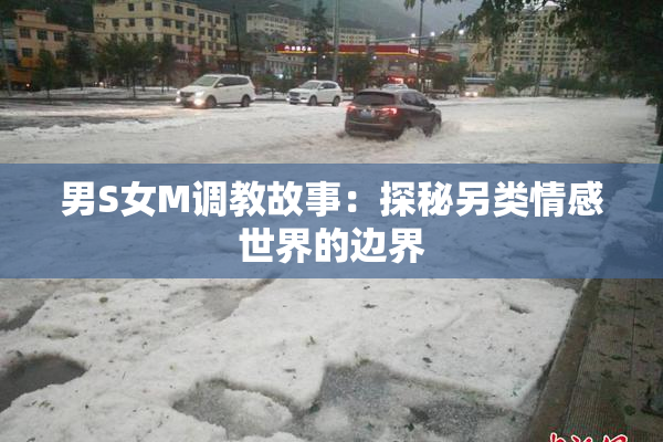 男S女M调教故事：探秘另类情感世界的边界