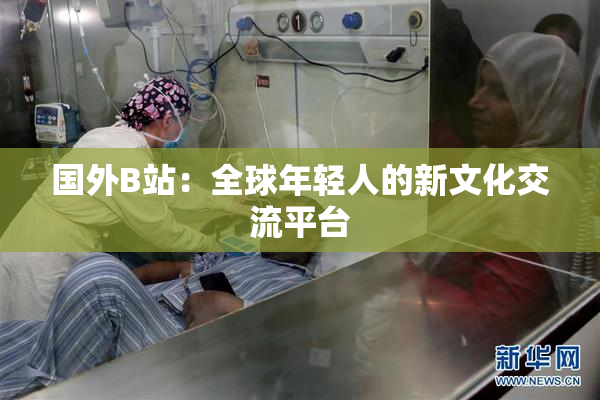 国外B站：全球年轻人的新文化交流平台