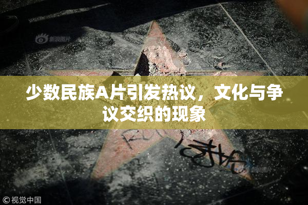少数民族A片引发热议，文化与争议交织的现象