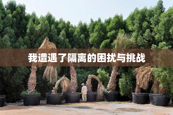 我遭遇了隔离的困扰与挑战