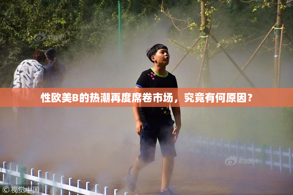 性欧美B的热潮再度席卷市场，究竟有何原因？