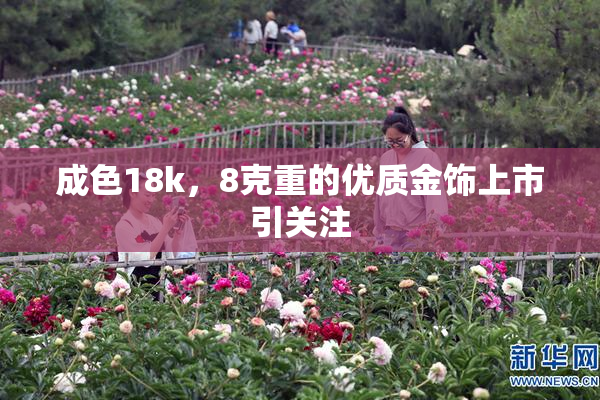 成色18k，8克重的优质金饰上市引关注