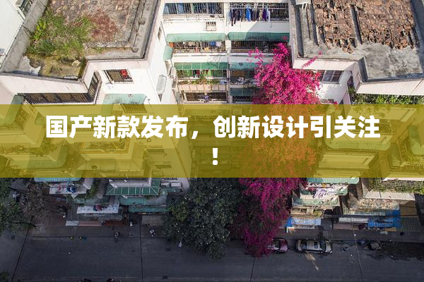 国产新款发布，创新设计引关注！