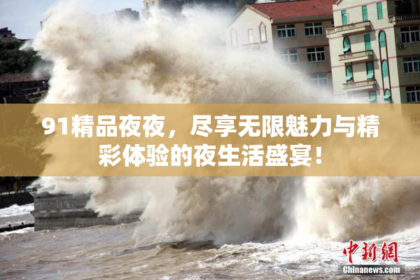 91精品夜夜，尽享无限魅力与精彩体验的夜生活盛宴！