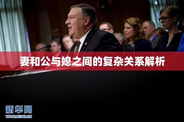 妻和公与媳之间的复杂关系解析