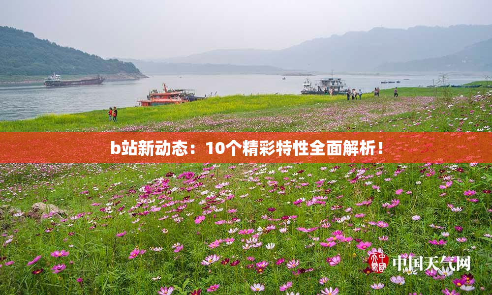 b站新动态：10个精彩特性全面解析！
