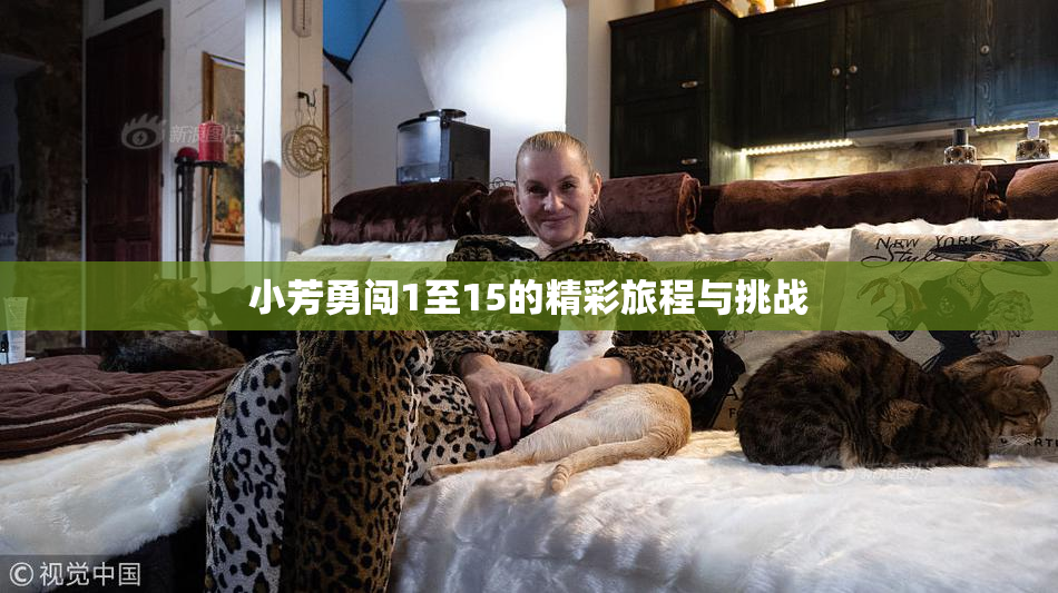 小芳勇闯1至15的精彩旅程与挑战