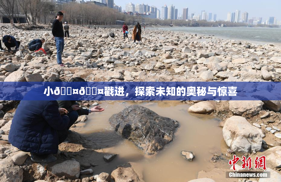 小🐤🐤戳进，探索未知的奥秘与惊喜