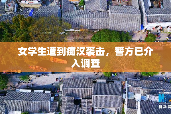 女学生遭到痴汉袭击，警方已介入调查