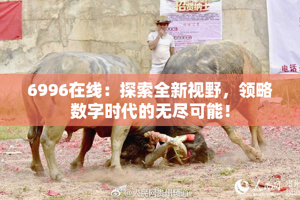 6996在线：探索全新视野，领略数字时代的无尽可能！
