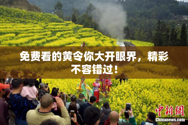 免费看的黄令你大开眼界，精彩不容错过！