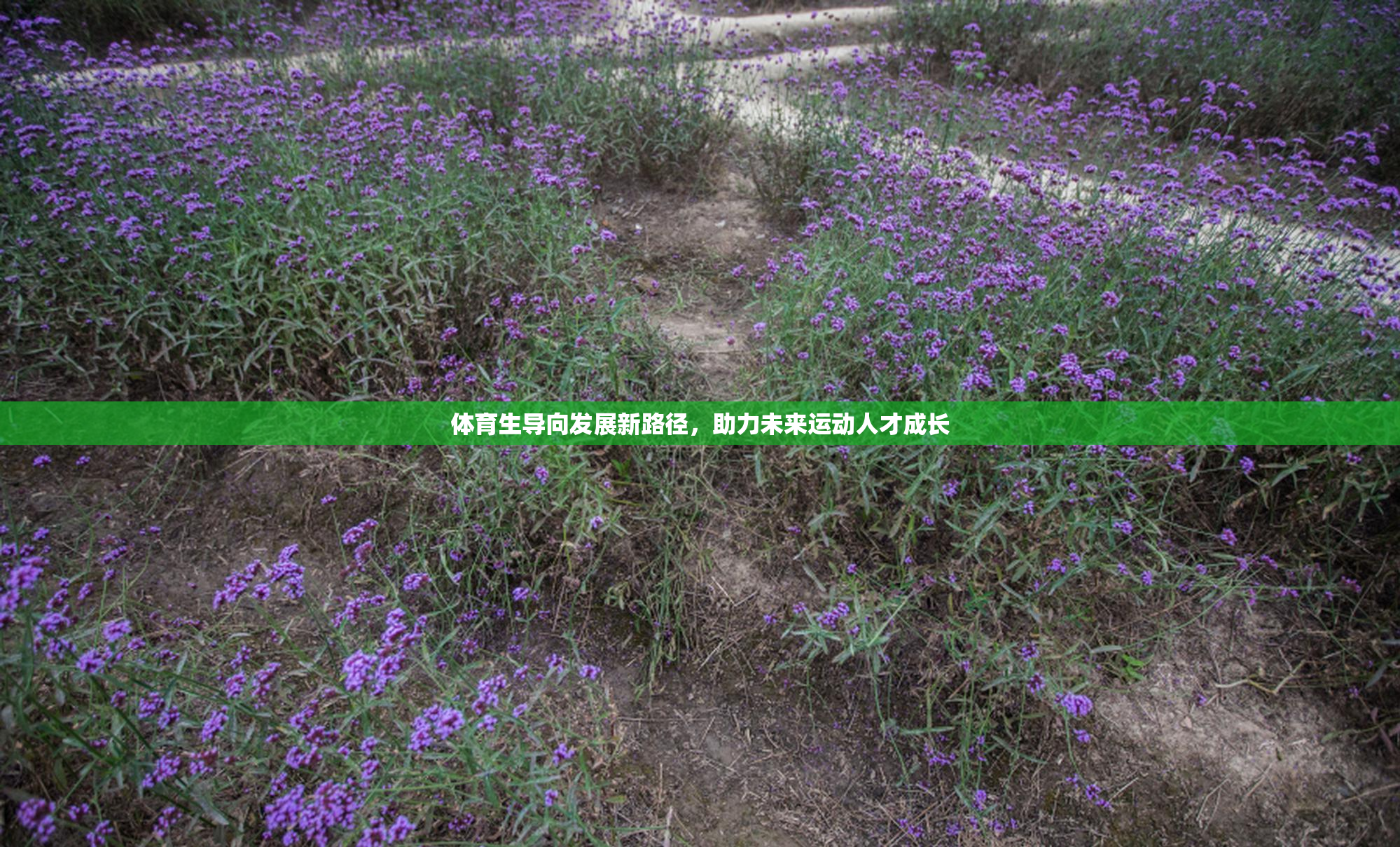 体育生导向发展新路径，助力未来运动人才成长