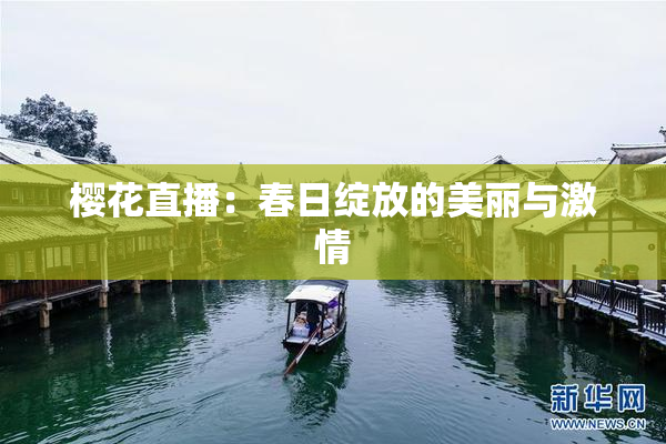 樱花直播：春日绽放的美丽与激情