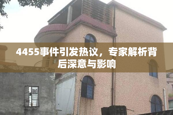 4455事件引发热议，专家解析背后深意与影响