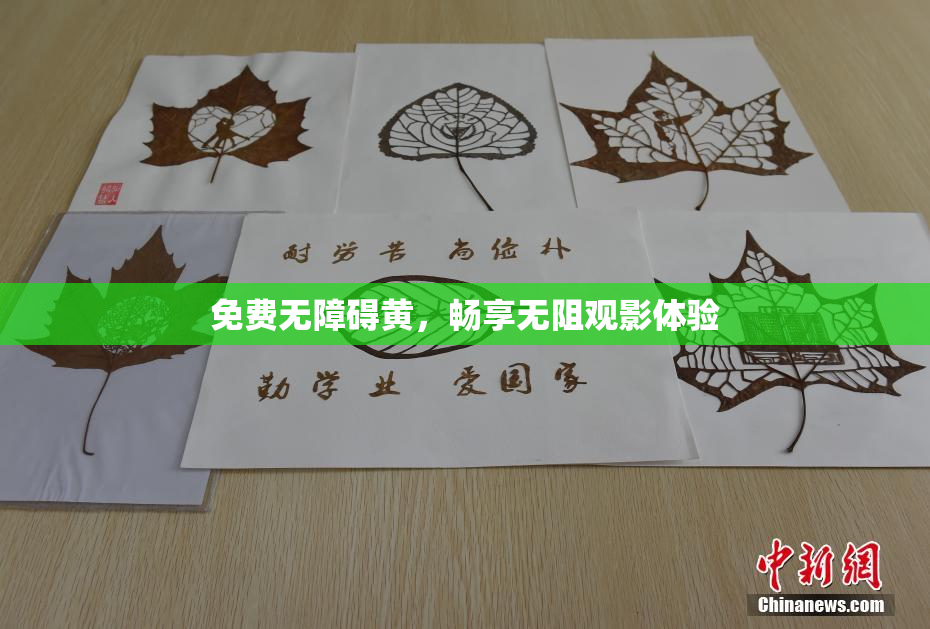 免费无障碍黄，畅享无阻观影体验
