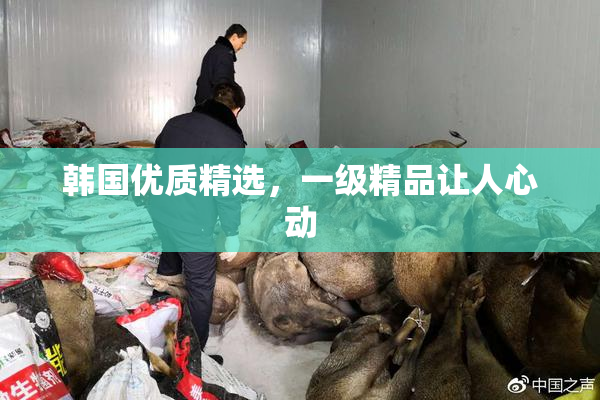 韩国优质精选，一级精品让人心动