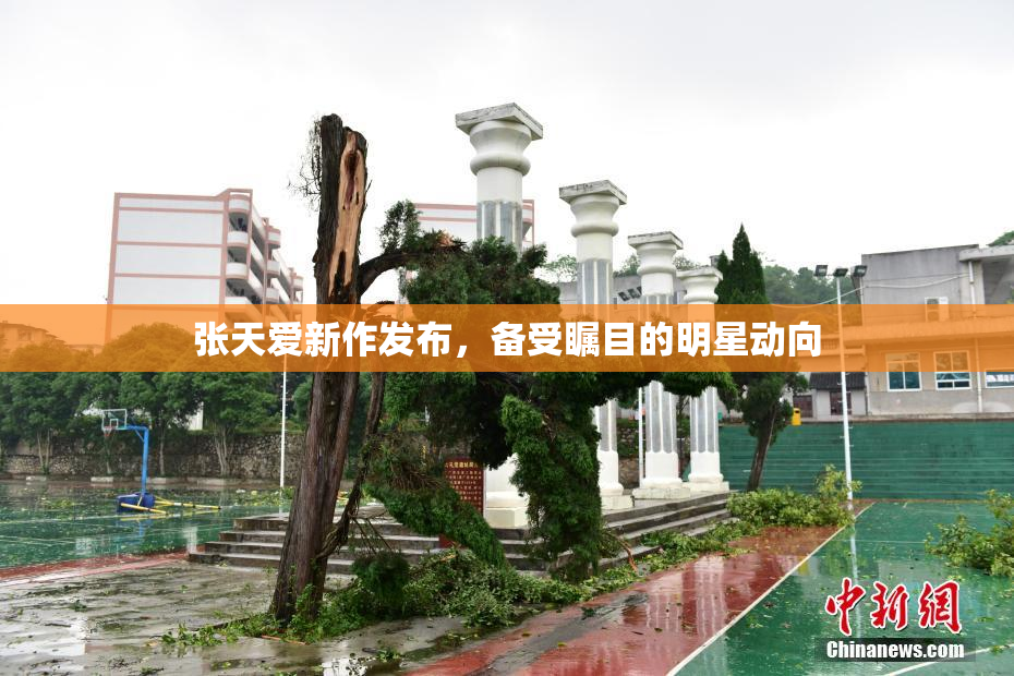 张天爱新作发布，备受瞩目的明星动向