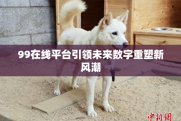 99在线平台引领未来数字重塑新风潮