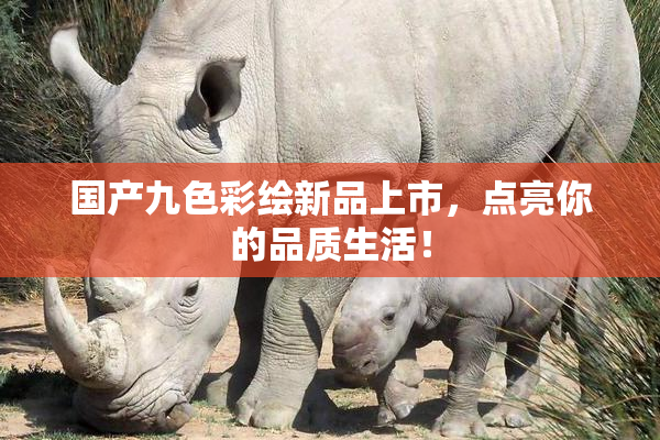 国产九色彩绘新品上市，点亮你的品质生活！
