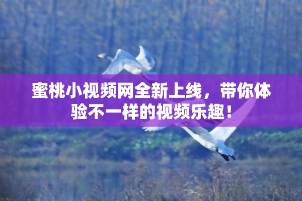蜜桃小视频网全新上线，带你体验不一样的视频乐趣！