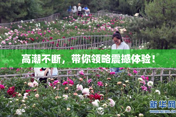 高潮不断，带你领略震撼体验！