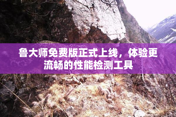 鲁大师免费版正式上线，体验更流畅的性能检测工具