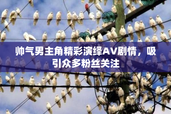 帅气男主角精彩演绎AV剧情，吸引众多粉丝关注