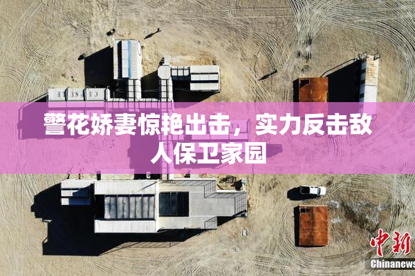警花娇妻惊艳出击,实力反击敌人保卫家园 警花娇妻惊艳出击,实力反击敌人保卫家园