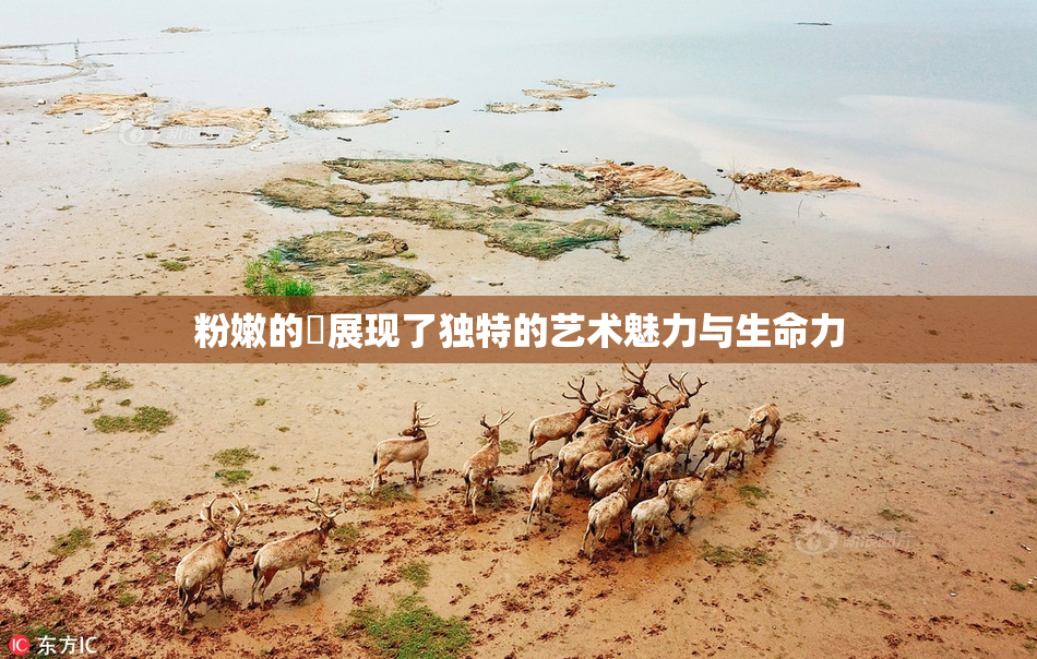 粉嫩的泬展现了独特的艺术魅力与生命力