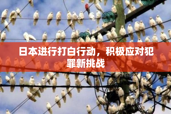 日本进行打白行动，积极应对犯罪新挑战