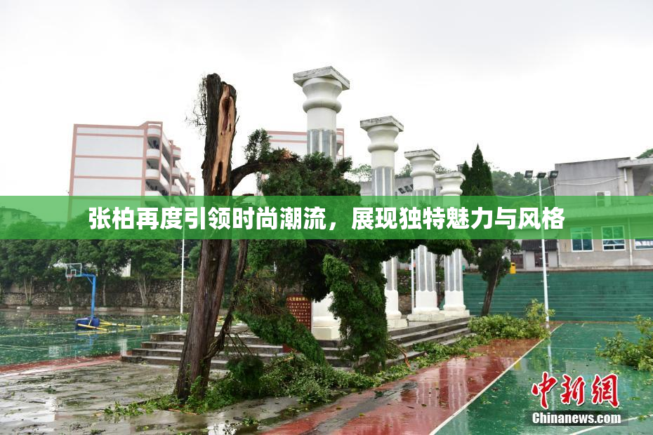 张柏再度引领时尚潮流，展现独特魅力与风格