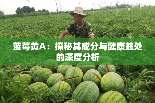 蓝莓黄A：探秘其成分与健康益处的深度分析