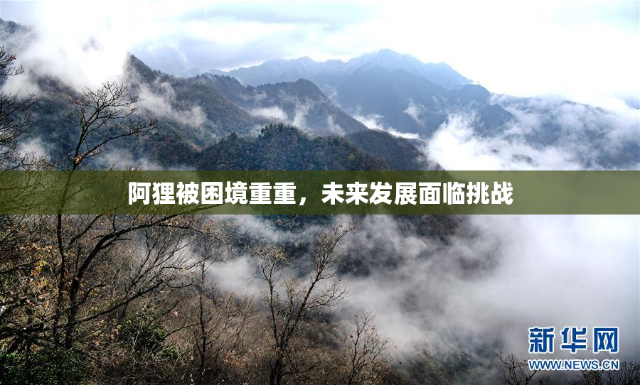 阿狸被困境重重，未来发展面临挑战