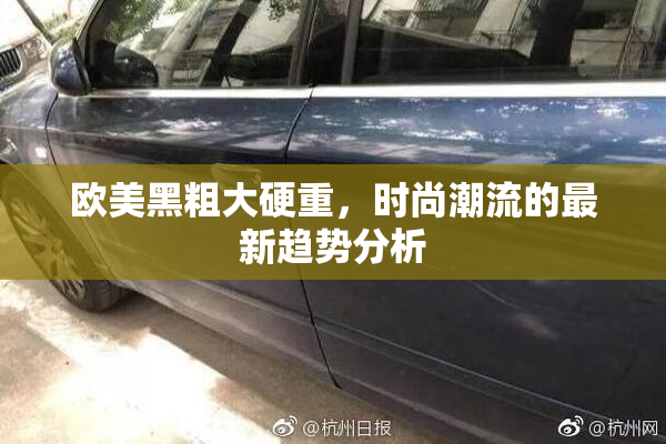 欧美黑粗大硬重，时尚潮流的最新趋势分析