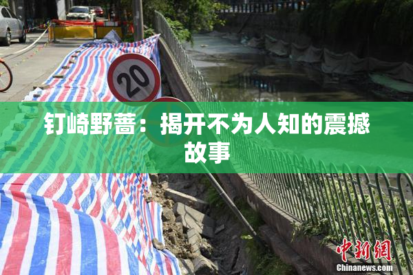 钉崎野蔷：揭开不为人知的震撼故事