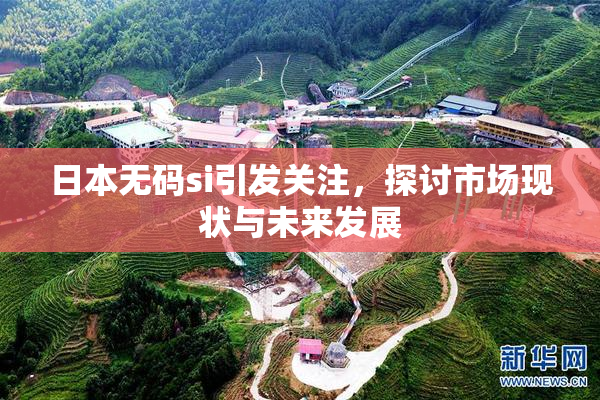 日本无码si引发关注，探讨市场现状与未来发展