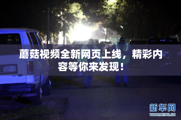 蘑菇视频全新网页上线，精彩内容等你来发现！