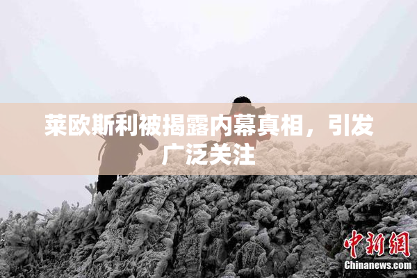 莱欧斯利被揭露内幕真相，引发广泛关注