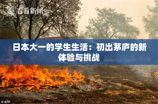日本大一的学生生活：初出茅庐的新体验与挑战