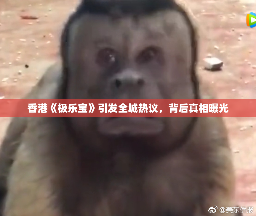 香港《极乐宝》引发全城热议，背后真相曝光