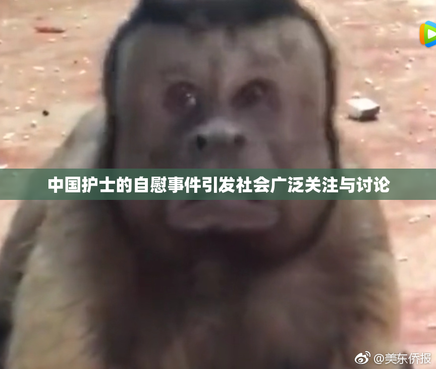 中国护士的自慰事件引发社会广泛关注与讨论