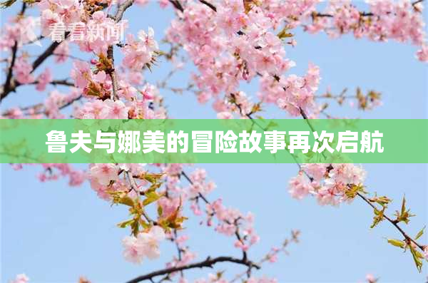 鲁夫与娜美的冒险故事再次启航